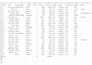 do excel data cleaning  and formatting